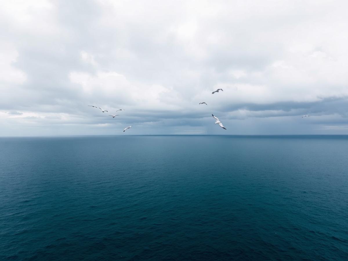 At Sea — image 1